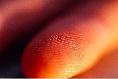 《刺客信条：影》奈绪江弥助动画预告 正义之刃脱影而出